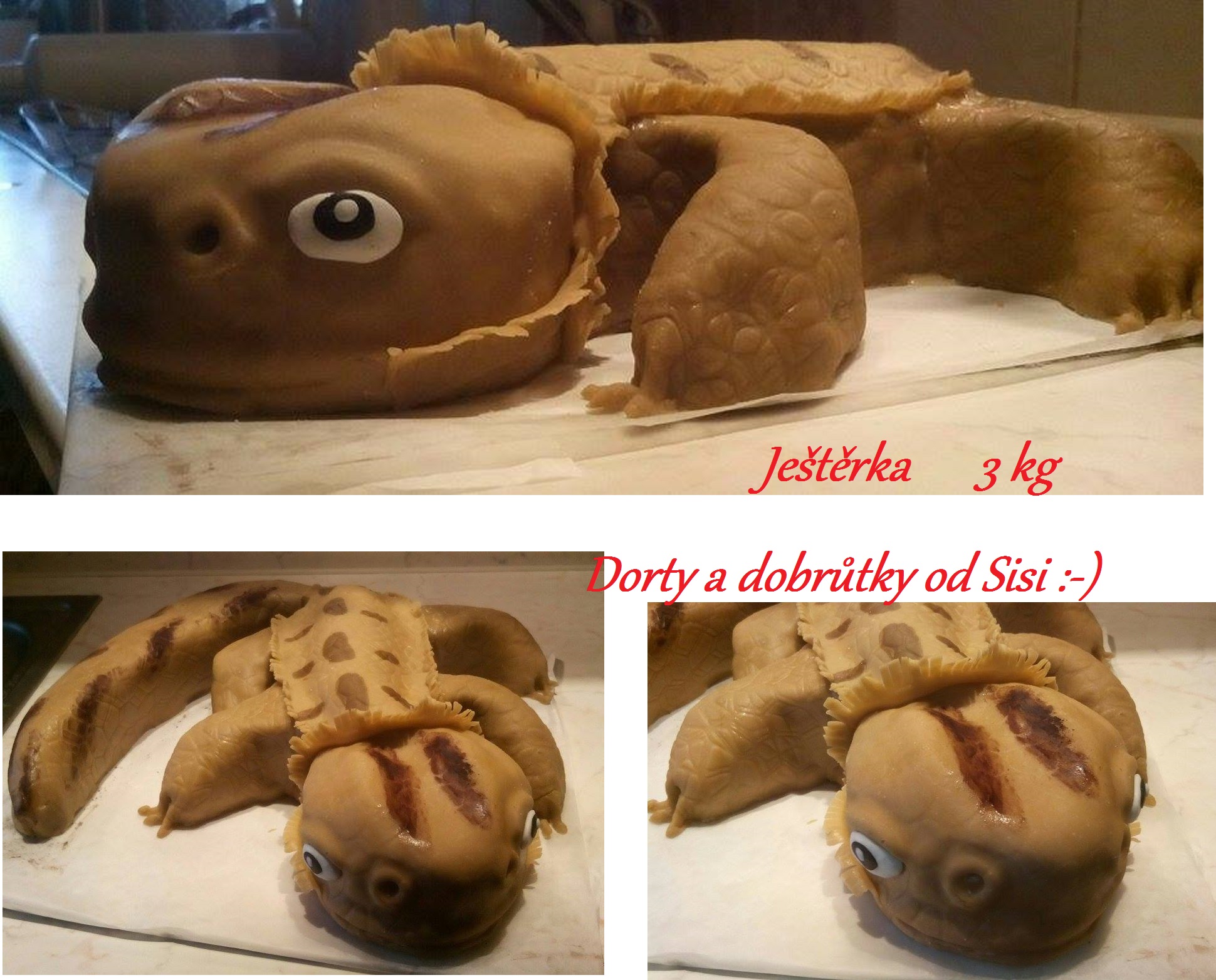 ještěrka 1